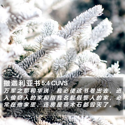 撒 迦 利 亚 书 5:4 CUVS Bible Verse Image