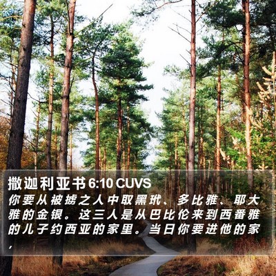 撒 迦 利 亚 书 6:10 CUVS Bible Verse Image