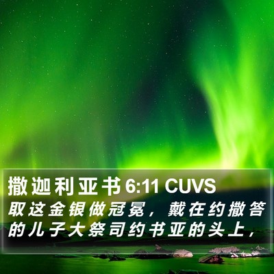 撒 迦 利 亚 书 6:11 CUVS Bible Verse Image