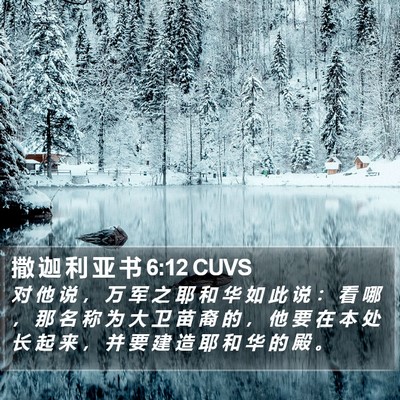 撒 迦 利 亚 书 6:12 CUVS Bible Verse Image