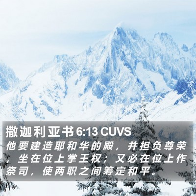撒 迦 利 亚 书 6:13 CUVS Bible Verse Image