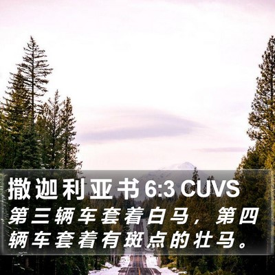 撒 迦 利 亚 书 6:3 CUVS Bible Verse Image