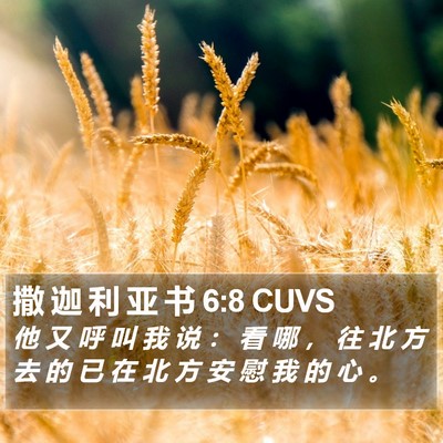 撒 迦 利 亚 书 6:8 CUVS Bible Verse Image