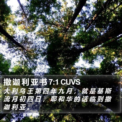 撒 迦 利 亚 书 7:1 CUVS Bible Verse Image