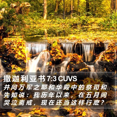 撒 迦 利 亚 书 7:3 CUVS Bible Verse Image