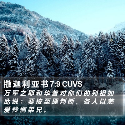 撒 迦 利 亚 书 7:9 CUVS Bible Verse Image