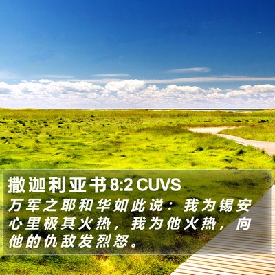 撒 迦 利 亚 书 8:2 CUVS Bible Verse Image