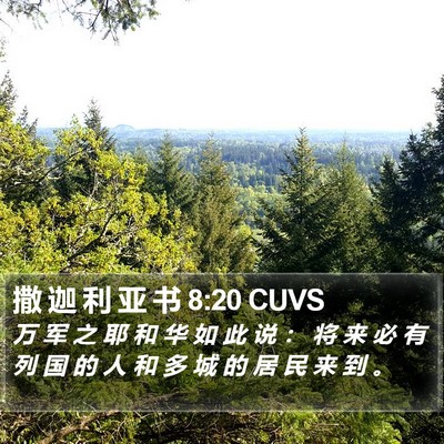撒 迦 利 亚 书 8:20 CUVS Bible Verse Image