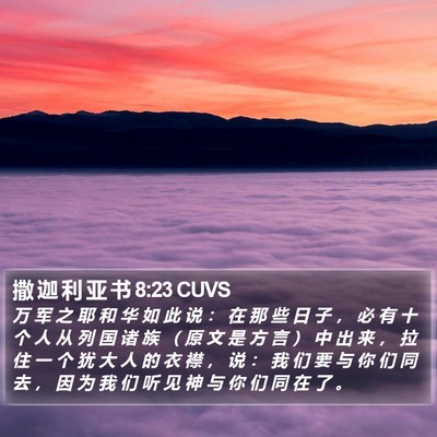 撒 迦 利 亚 书 8:23 CUVS Bible Verse Image