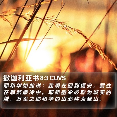 撒 迦 利 亚 书 8:3 CUVS Bible Verse Image