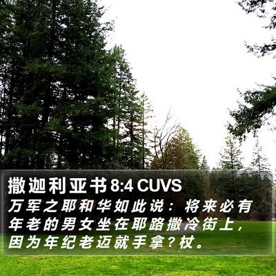 撒 迦 利 亚 书 8:4 CUVS Bible Verse Image