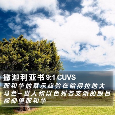 撒 迦 利 亚 书 9:1 CUVS Bible Verse Image