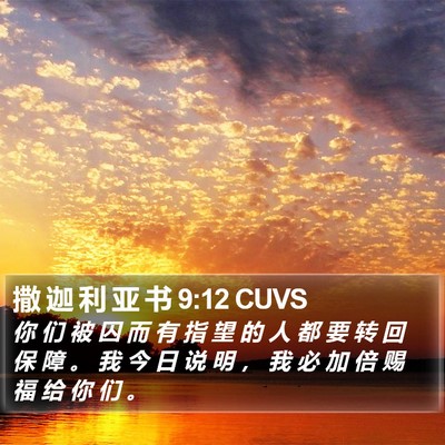 撒 迦 利 亚 书 9:12 CUVS Bible Verse Image