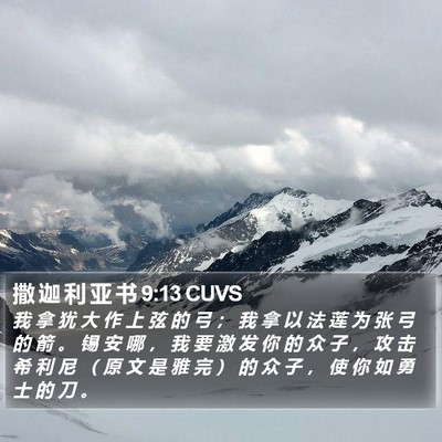 撒 迦 利 亚 书 9:13 CUVS Bible Verse Image