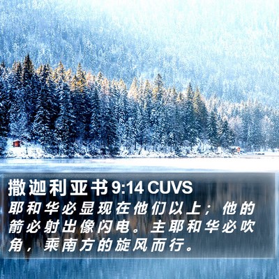 撒 迦 利 亚 书 9:14 CUVS Bible Verse Image
