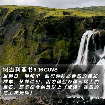 撒 迦 利 亚 书 9:16 CUVS Bible Verse Image