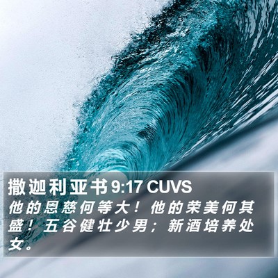 撒 迦 利 亚 书 9:17 CUVS Bible Verse Image
