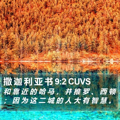 撒 迦 利 亚 书 9:2 CUVS Bible Verse Image