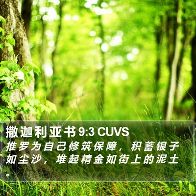 撒 迦 利 亚 书 9:3 CUVS Bible Verse Image