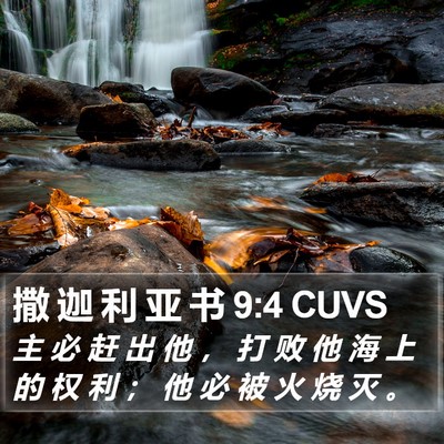 撒 迦 利 亚 书 9:4 CUVS Bible Verse Image