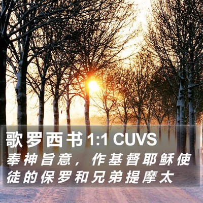 歌 罗 西 书 1:1 CUVS Bible Verse Image