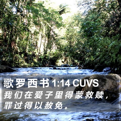 歌 罗 西 书 1:14 CUVS Bible Verse Image