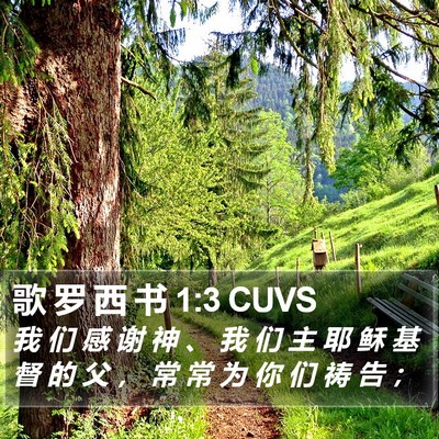 歌 罗 西 书 1:3 CUVS Bible Verse Image