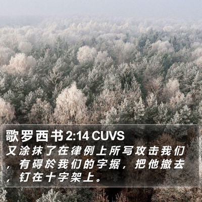 歌 罗 西 书 2:14 CUVS Bible Verse Image