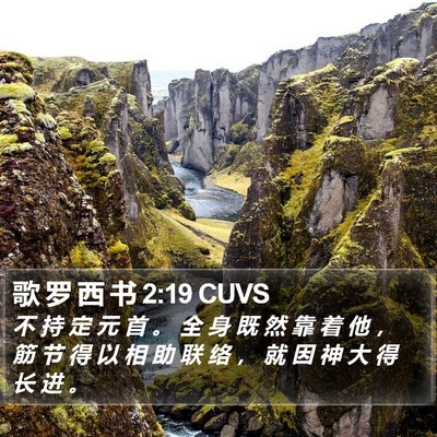 歌 罗 西 书 2:19 CUVS Bible Verse Image