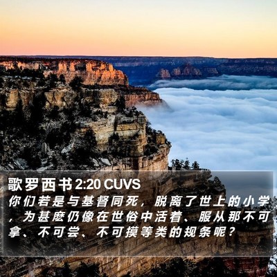 歌 罗 西 书 2:20 CUVS Bible Verse Image
