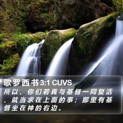 歌 罗 西 书 3:1 CUVS Bible Verse Image