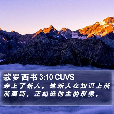 歌 罗 西 书 3:10 CUVS Bible Verse Image