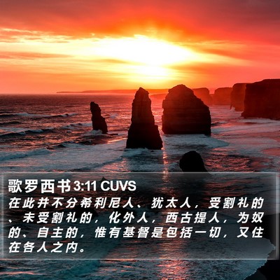 歌 罗 西 书 3:11 CUVS Bible Verse Image