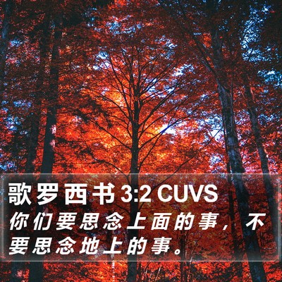 歌 罗 西 书 3:2 CUVS Bible Verse Image