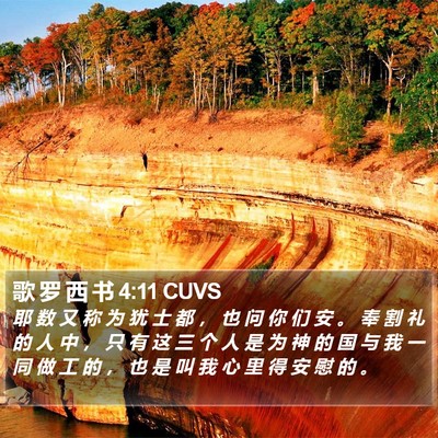 歌 罗 西 书 4:11 CUVS Bible Verse Image