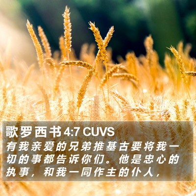 歌 罗 西 书 4:7 CUVS Bible Verse Image