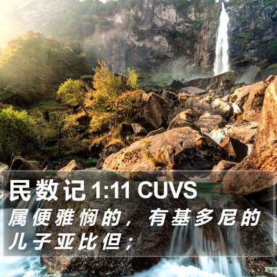 民 数 记 1:11 CUVS Bible Verse Image