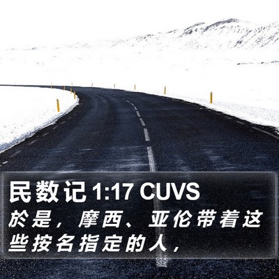 民 数 记 1:17 CUVS Bible Verse Image