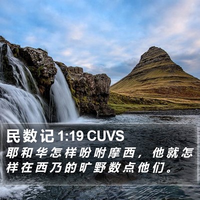 民 数 记 1:19 CUVS Bible Verse Image