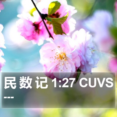 民 数 记 1:27 CUVS Bible Verse Image