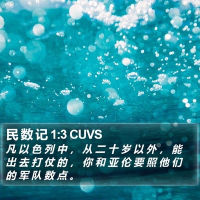 民 数 记 1:3 CUVS Bible Verse Image