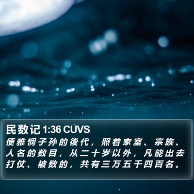 民 数 记 1:36 CUVS Bible Verse Image