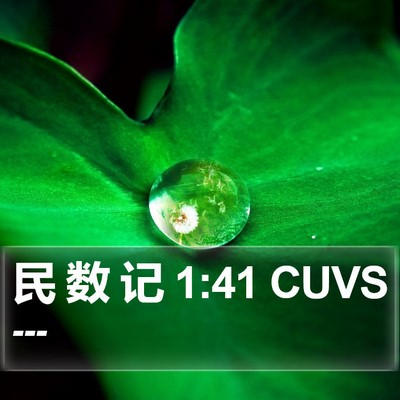 民 数 记 1:41 CUVS Bible Verse Image