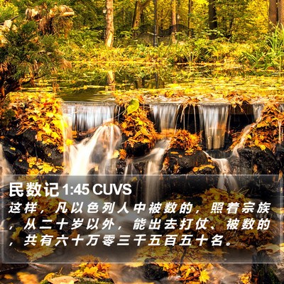 民 数 记 1:45 CUVS Bible Verse Image