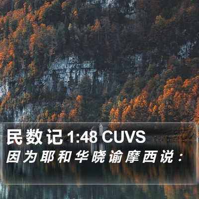 民 数 记 1:48 CUVS Bible Verse Image