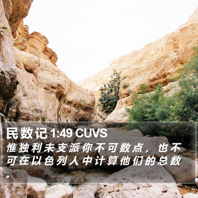 民 数 记 1:49 CUVS Bible Verse Image