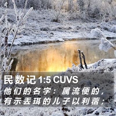 民 数 记 1:5 CUVS Bible Verse Image