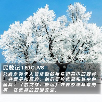 民 数 记 1:50 CUVS Bible Verse Image