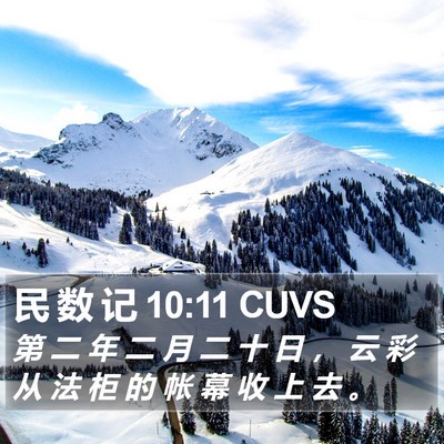 民 数 记 10:11 CUVS Bible Verse Image