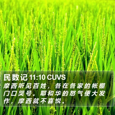 民 数 记 11:10 CUVS Bible Verse Image